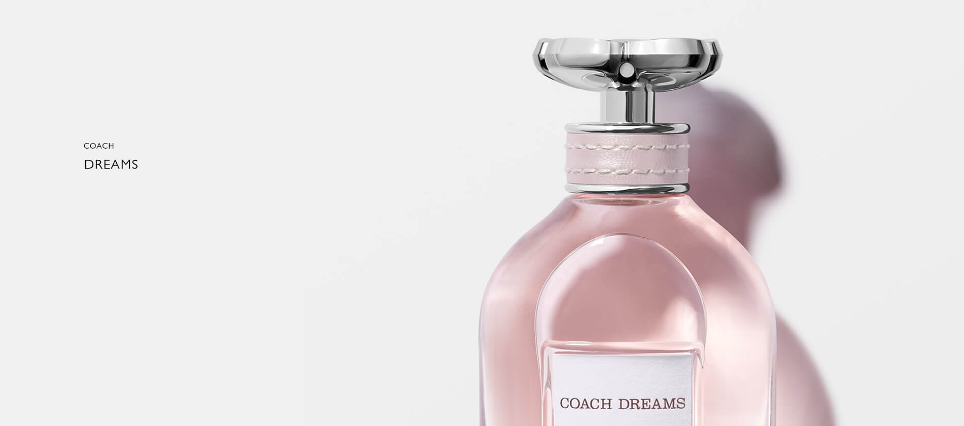 Coach Dreams