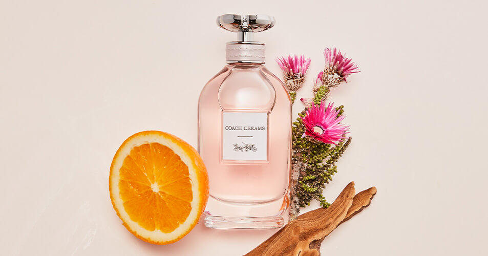 Sans-titre-7 Coach Dreams