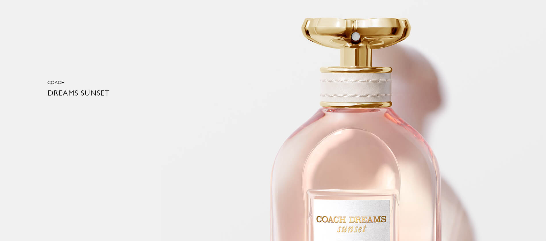 Coach Dreams Sunset