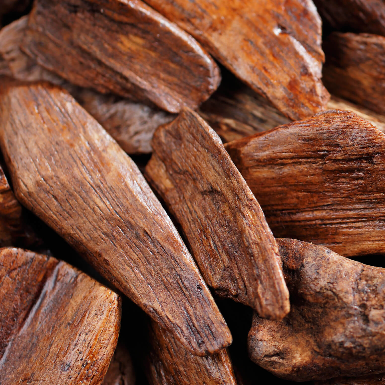 Sans-titre-4 Bois de Santal