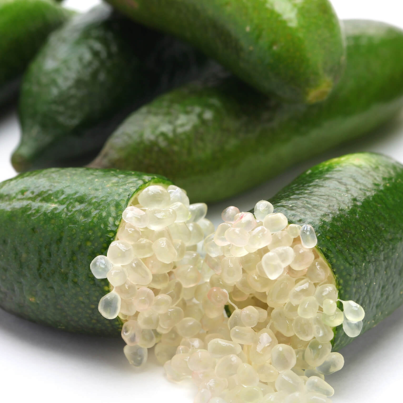 Sans-titre-6 Citron Caviar