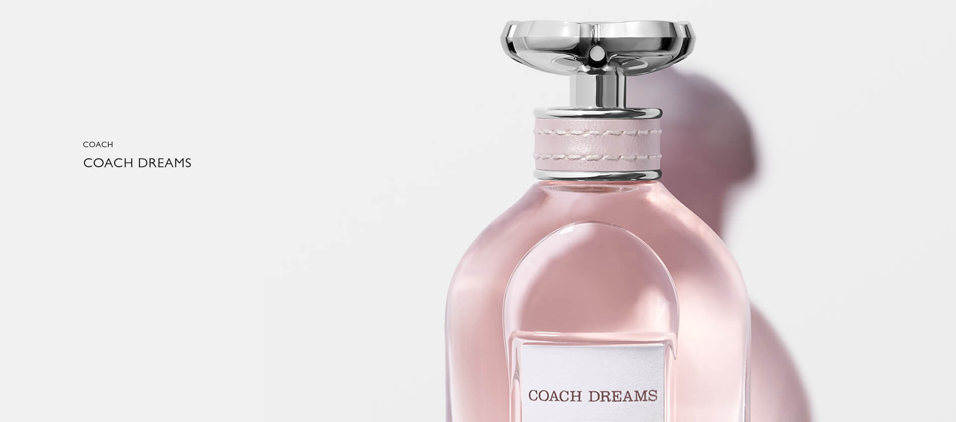 Coach Dreams