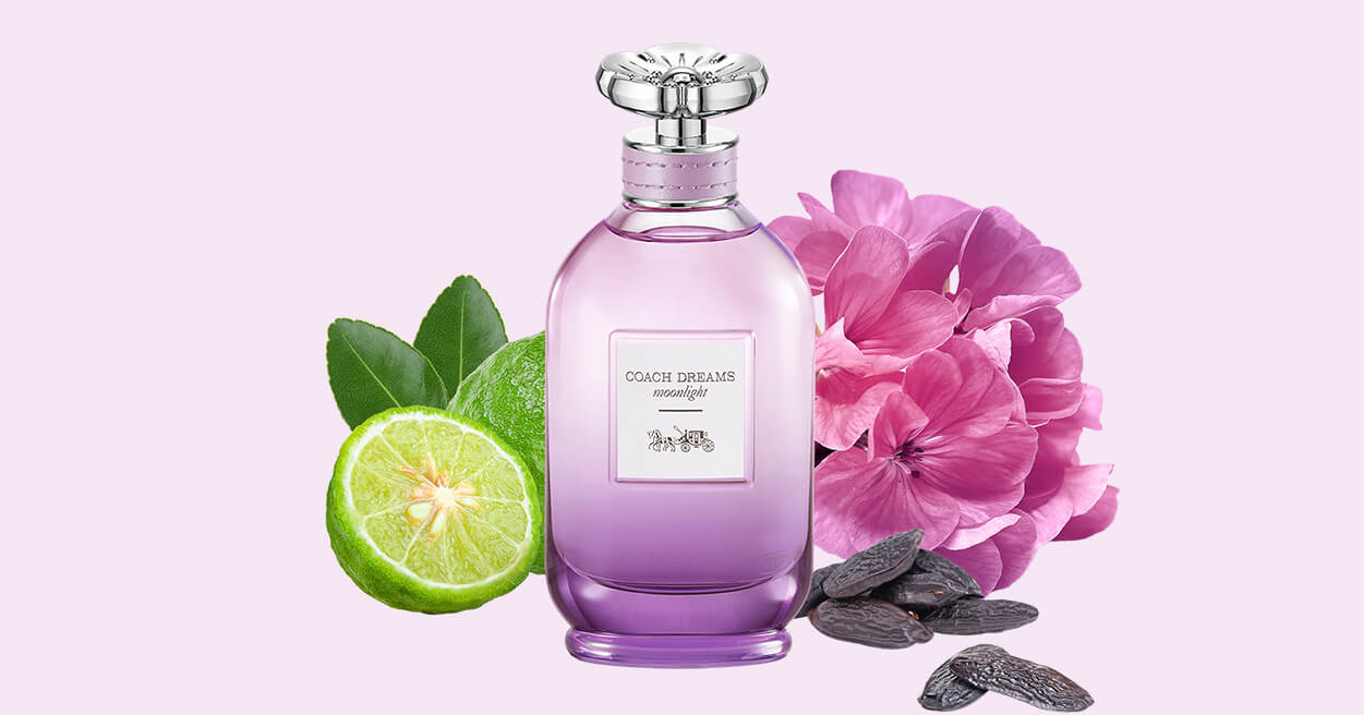 Sans-titre-7 Coach Dreams Moonlight