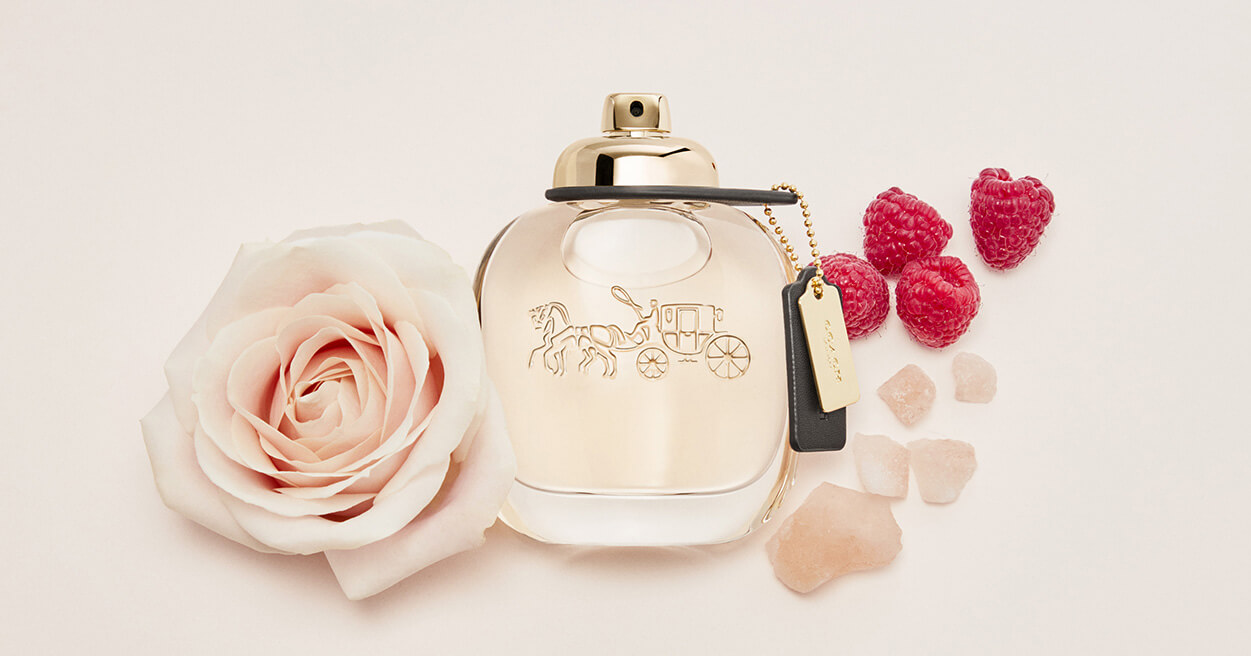 Coach Dreams Moonlight