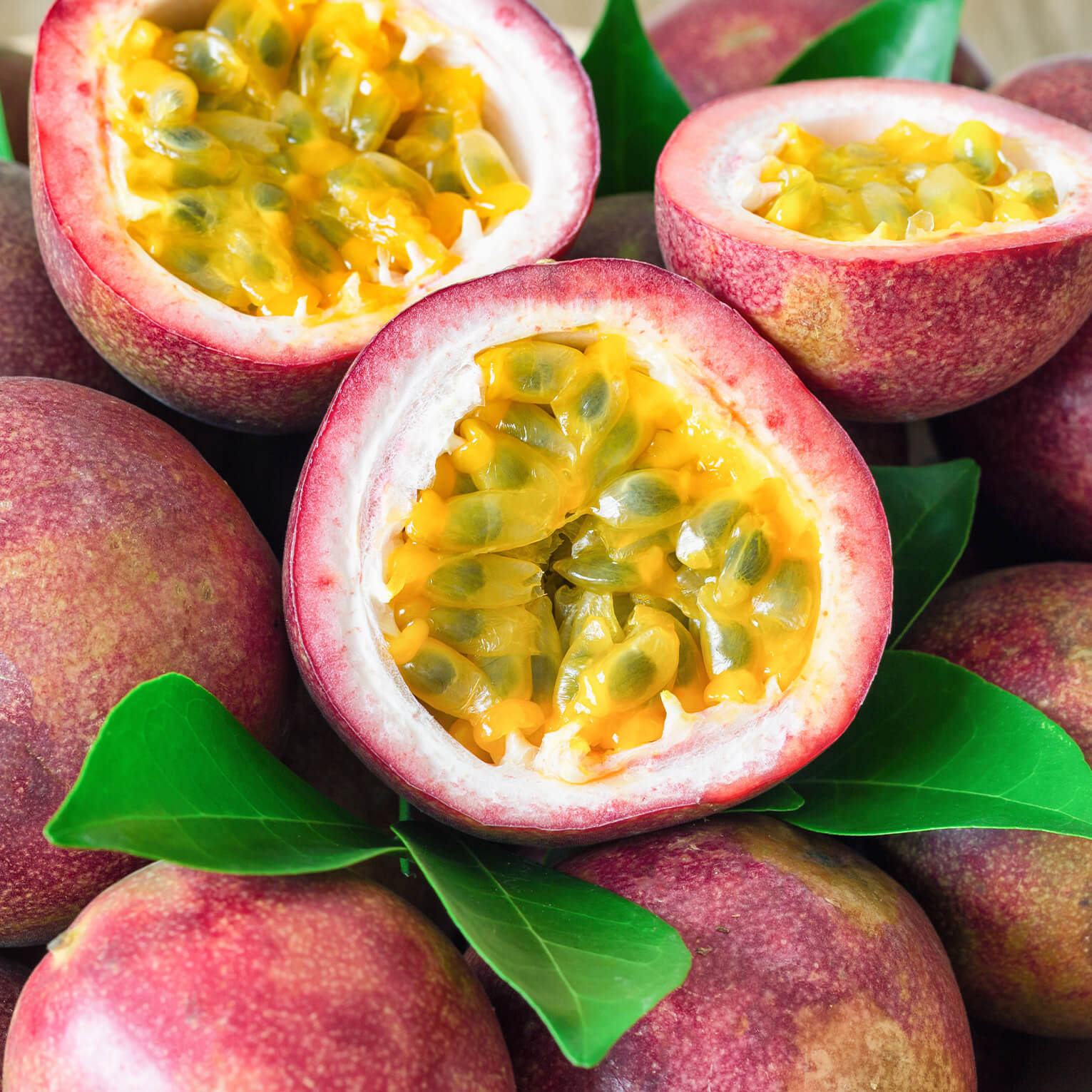 Sans-titre-6 Fruit de la passion