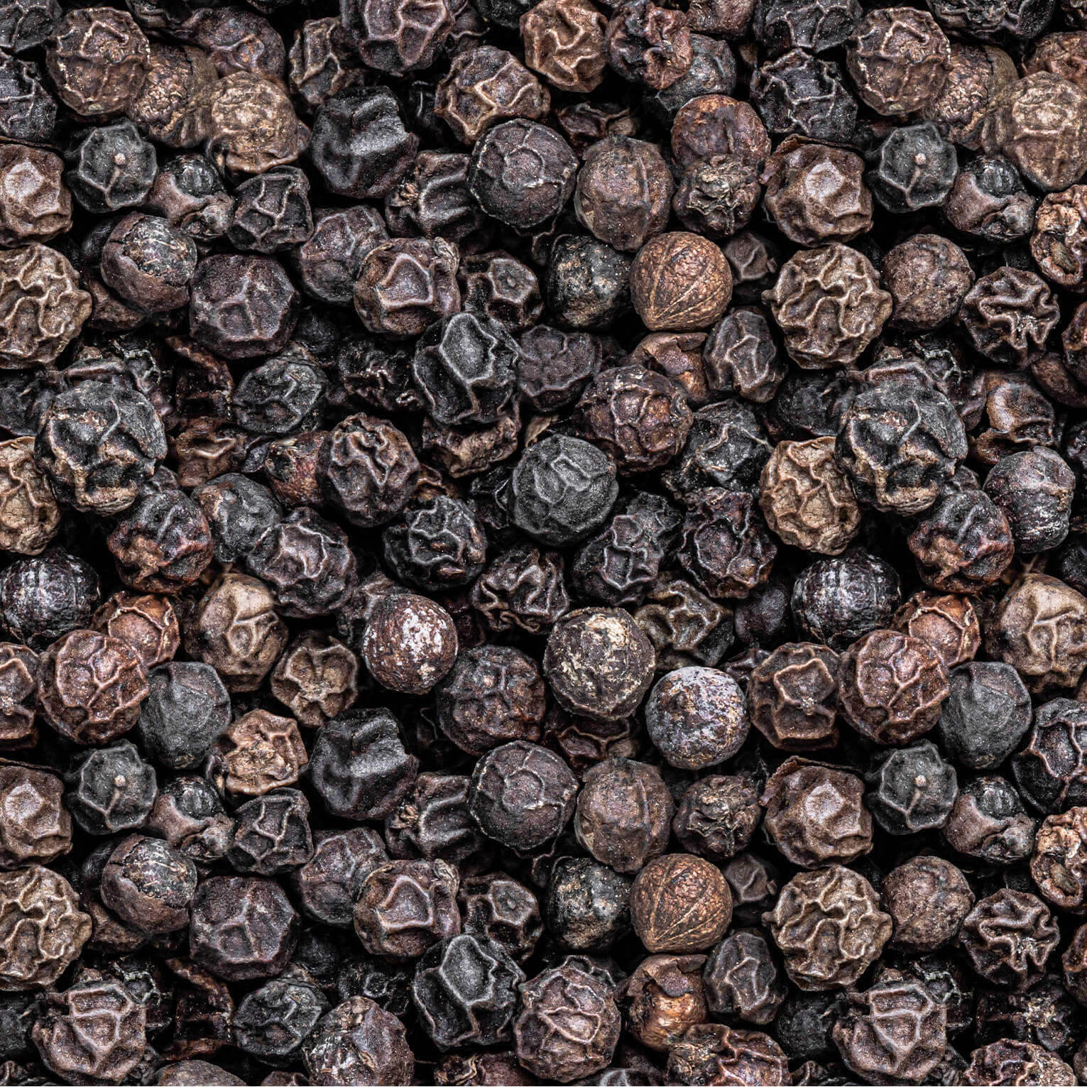 Sans-titre-5 Poivre noir