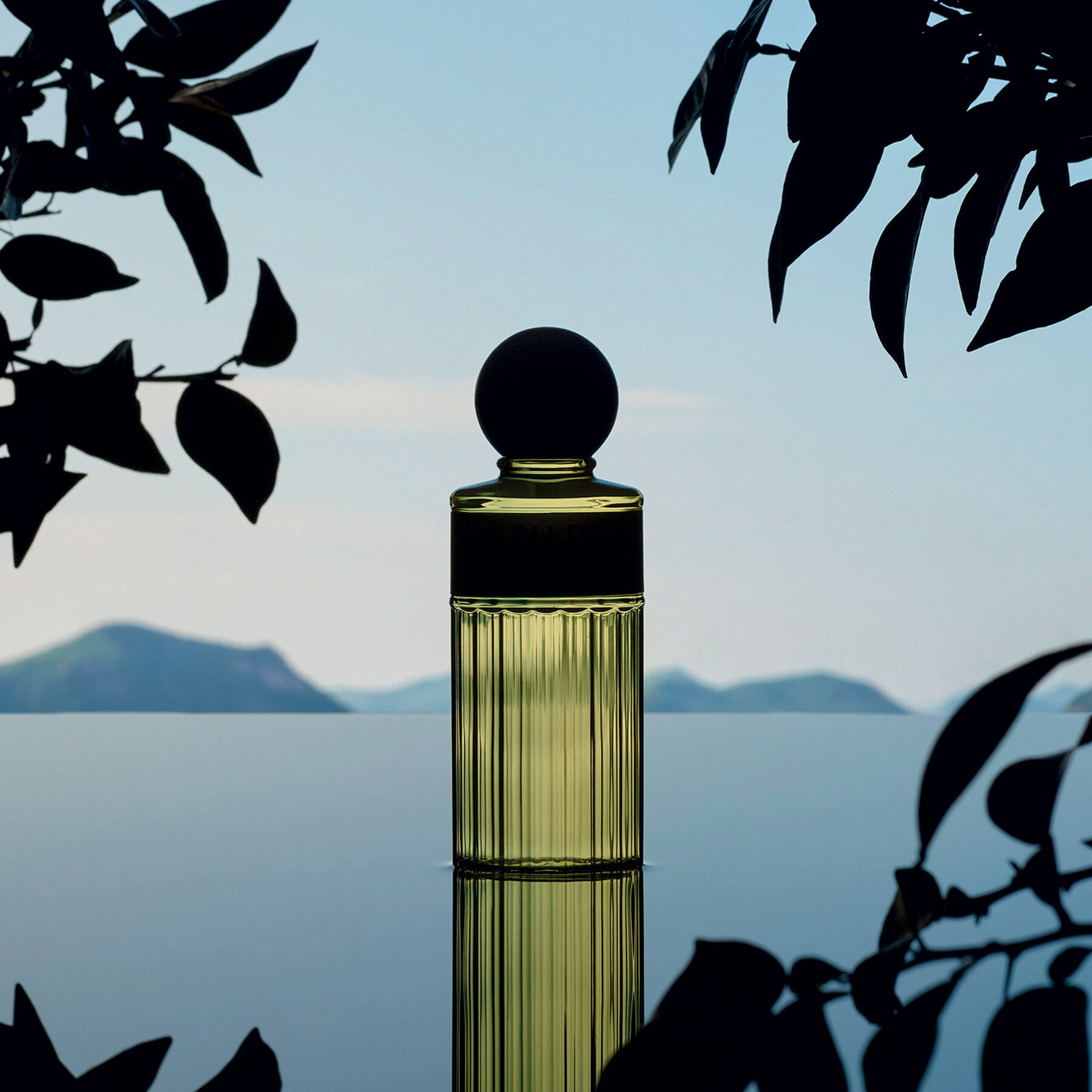 Eau de Rochas Citron Soleil