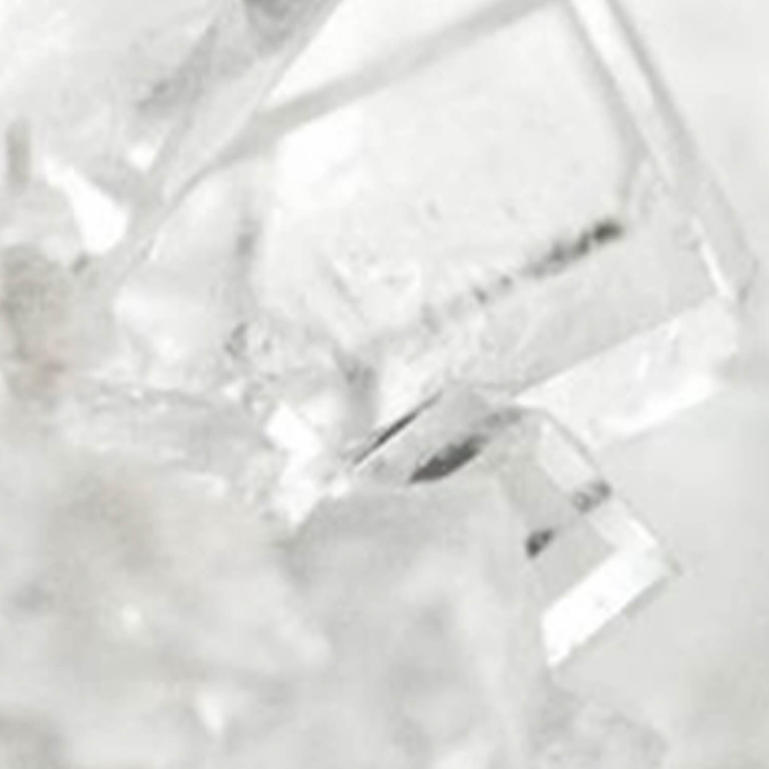 Sans-titre-4 Muscs blanc