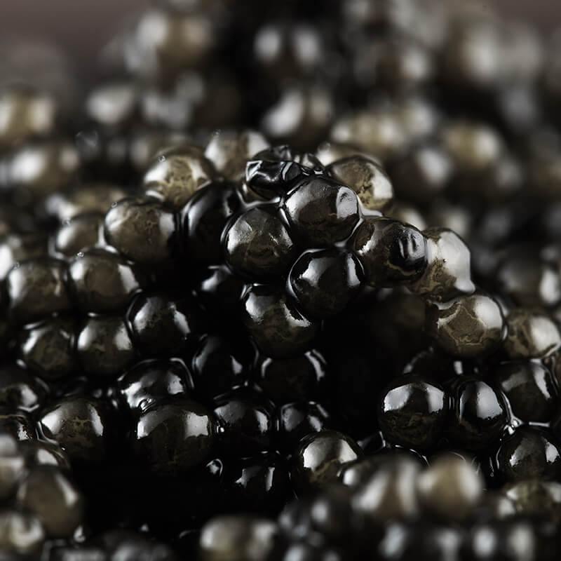 Caviar