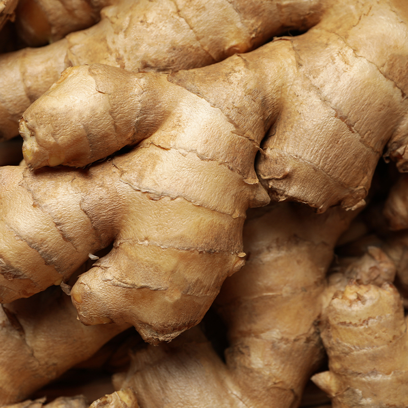 Gingembre