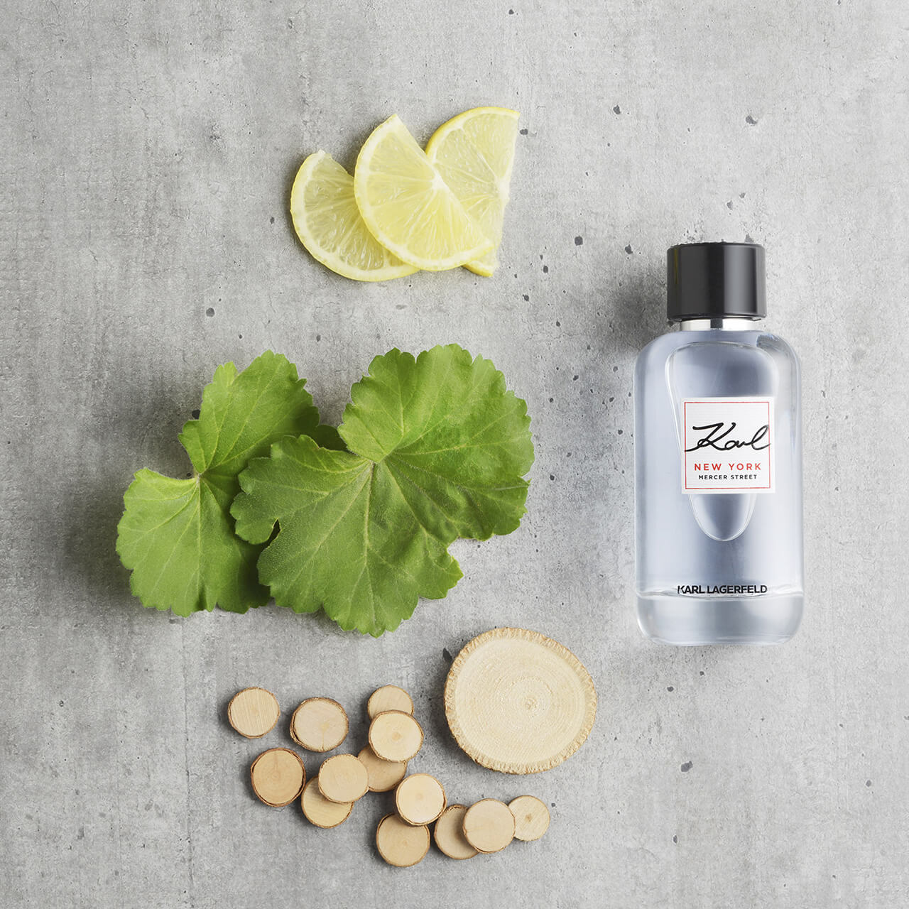 Karl Lagerfeld Paris & New York