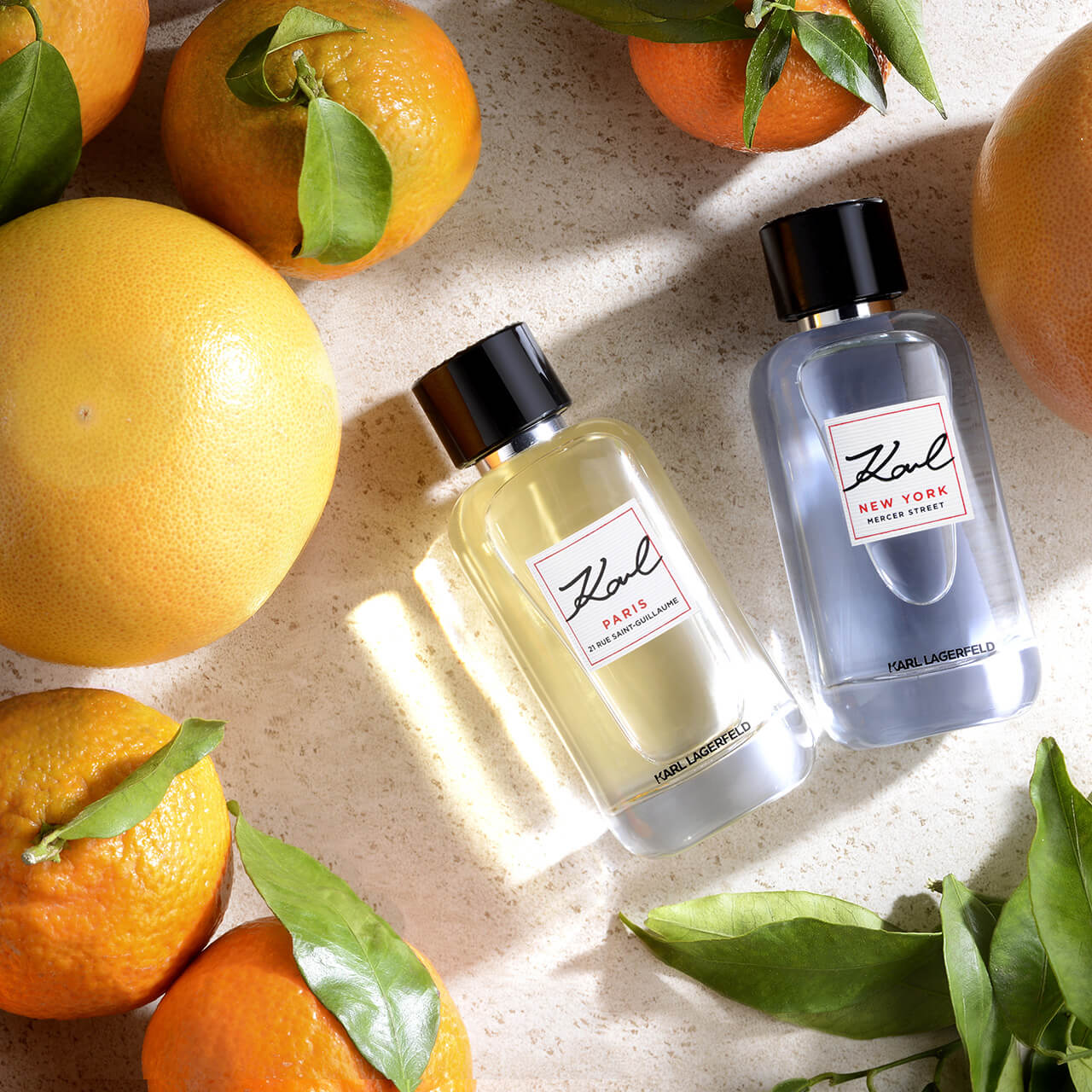 Karl Lagerfeld Paris & New York