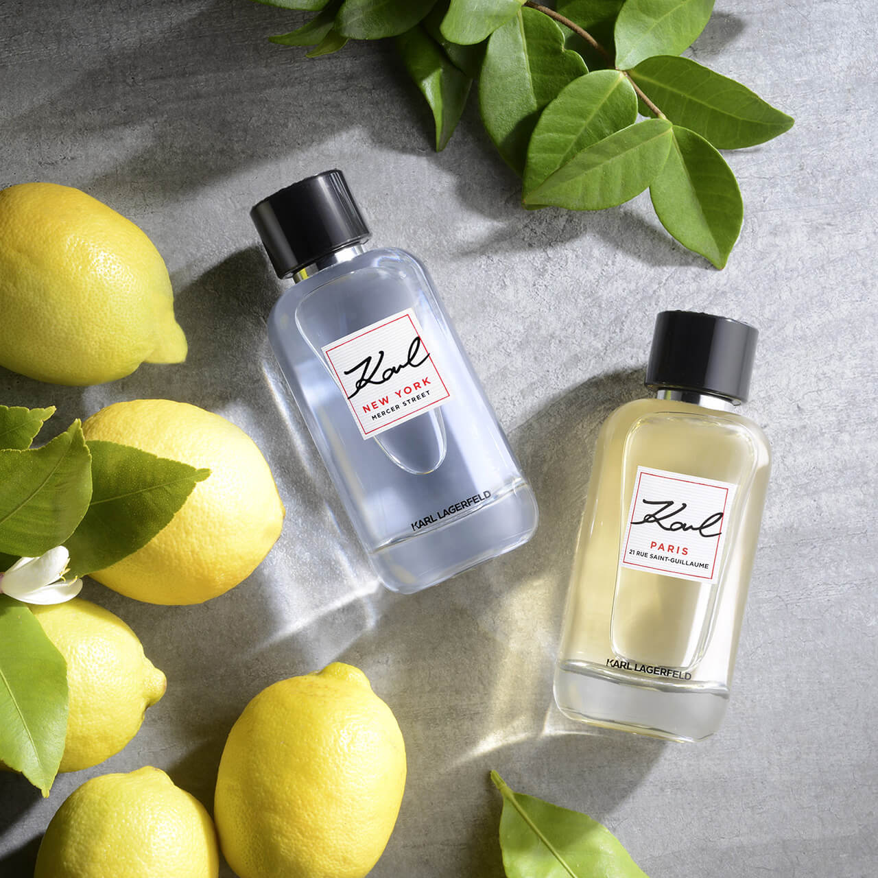 Karl Lagerfeld Paris & New York