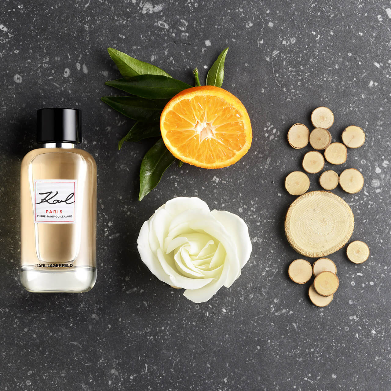 Karl Lagerfeld Paris & New York