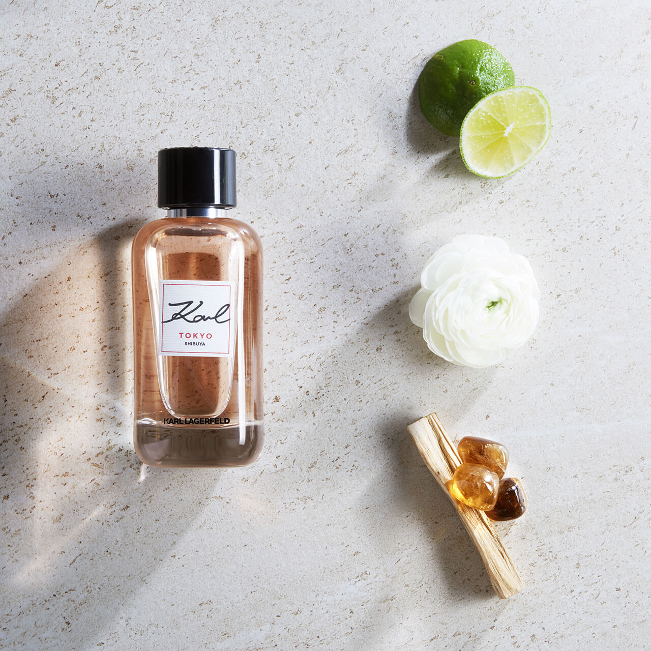 Karl Lagerfeld Tokyo & Hamburg