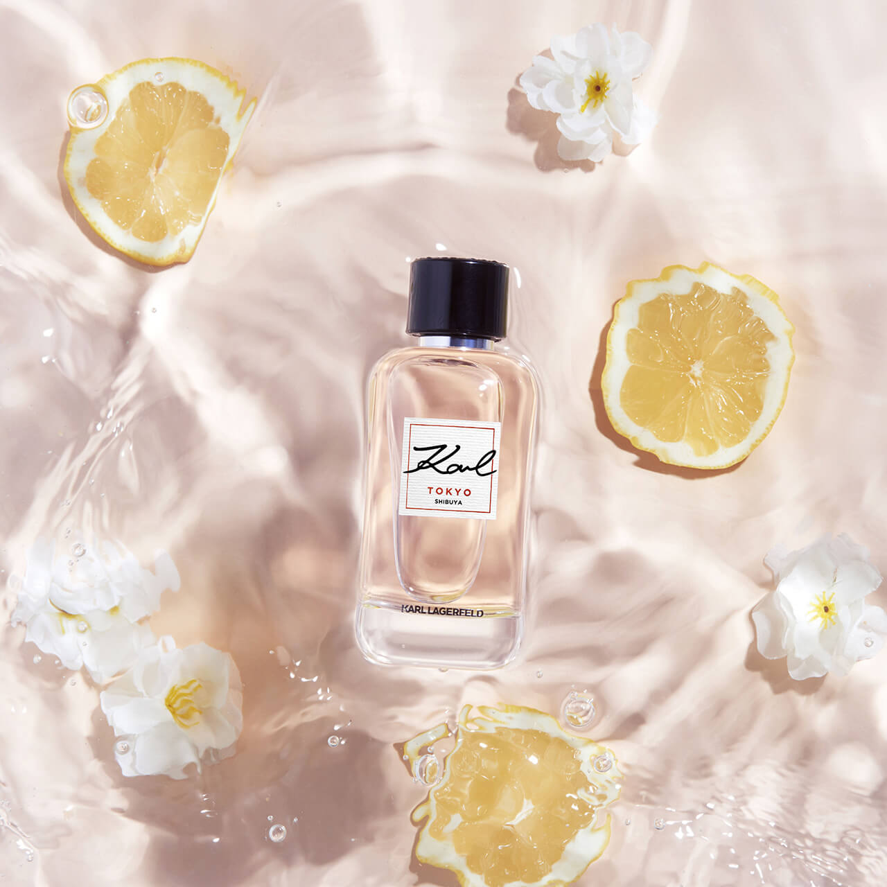 Karl Lagerfeld Tokyo & Hamburg