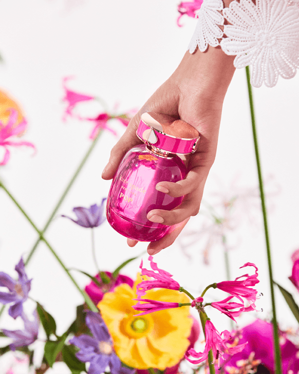 Kate Spade New York Pop