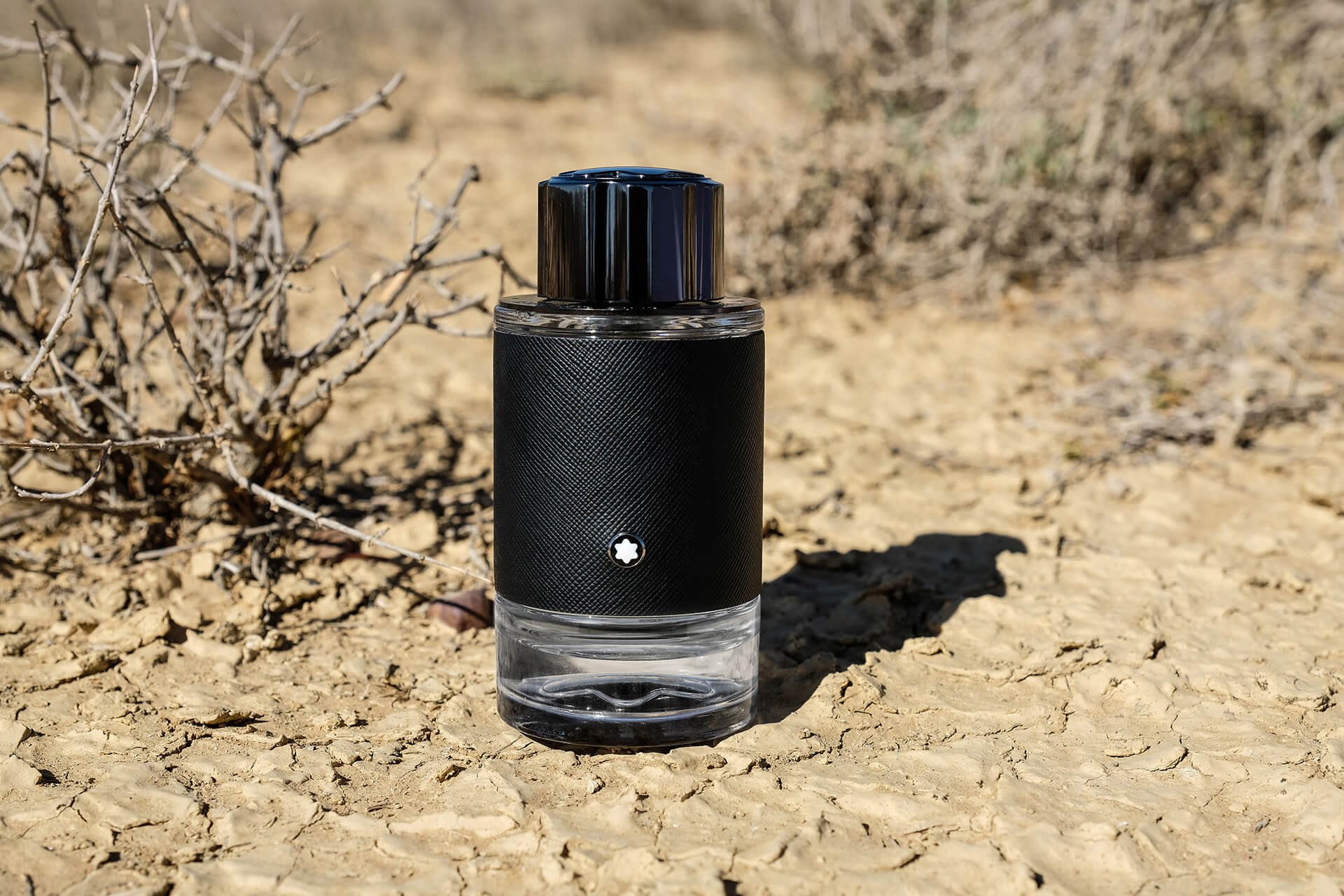 Montblanc Explorer