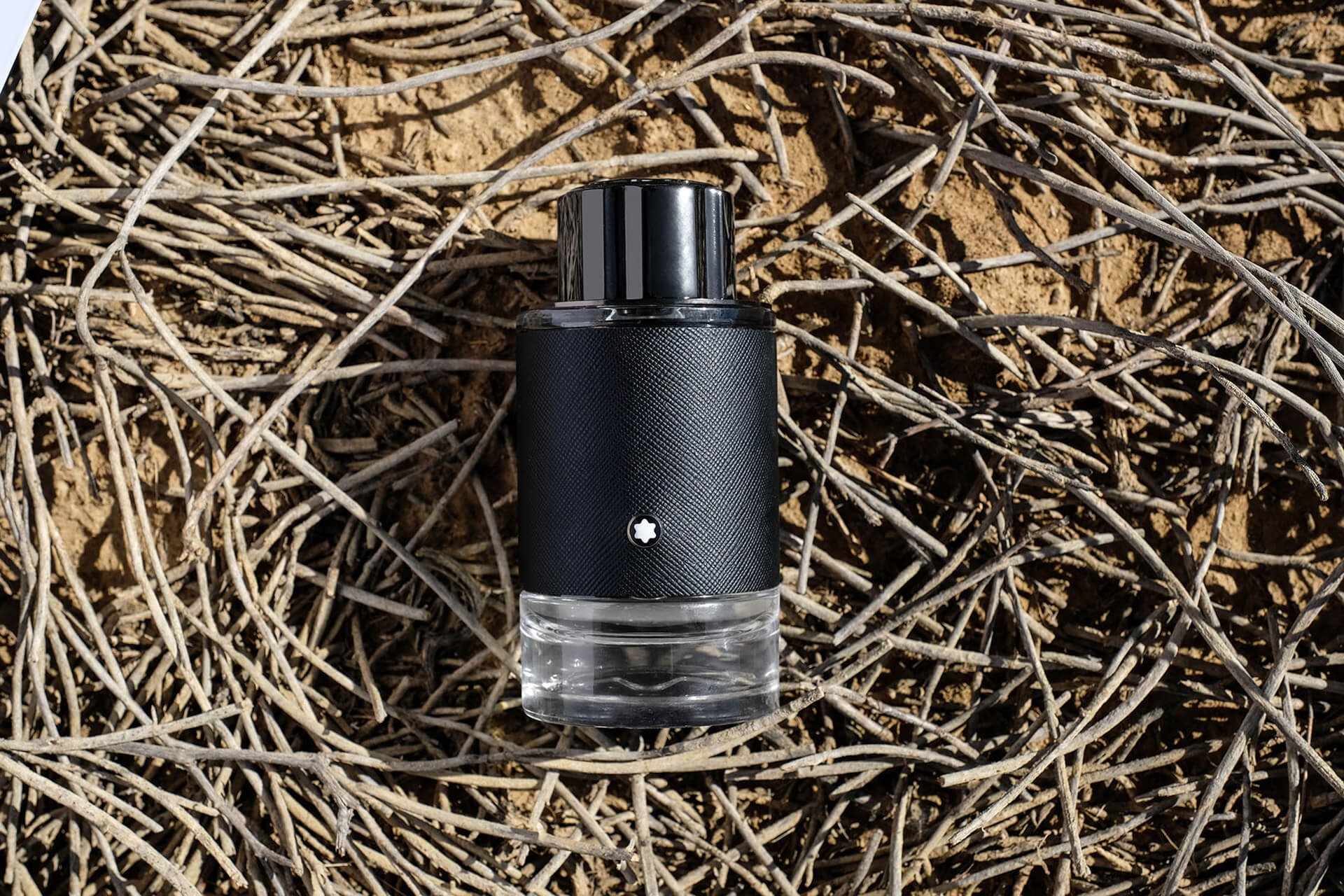 Montblanc Explorer
