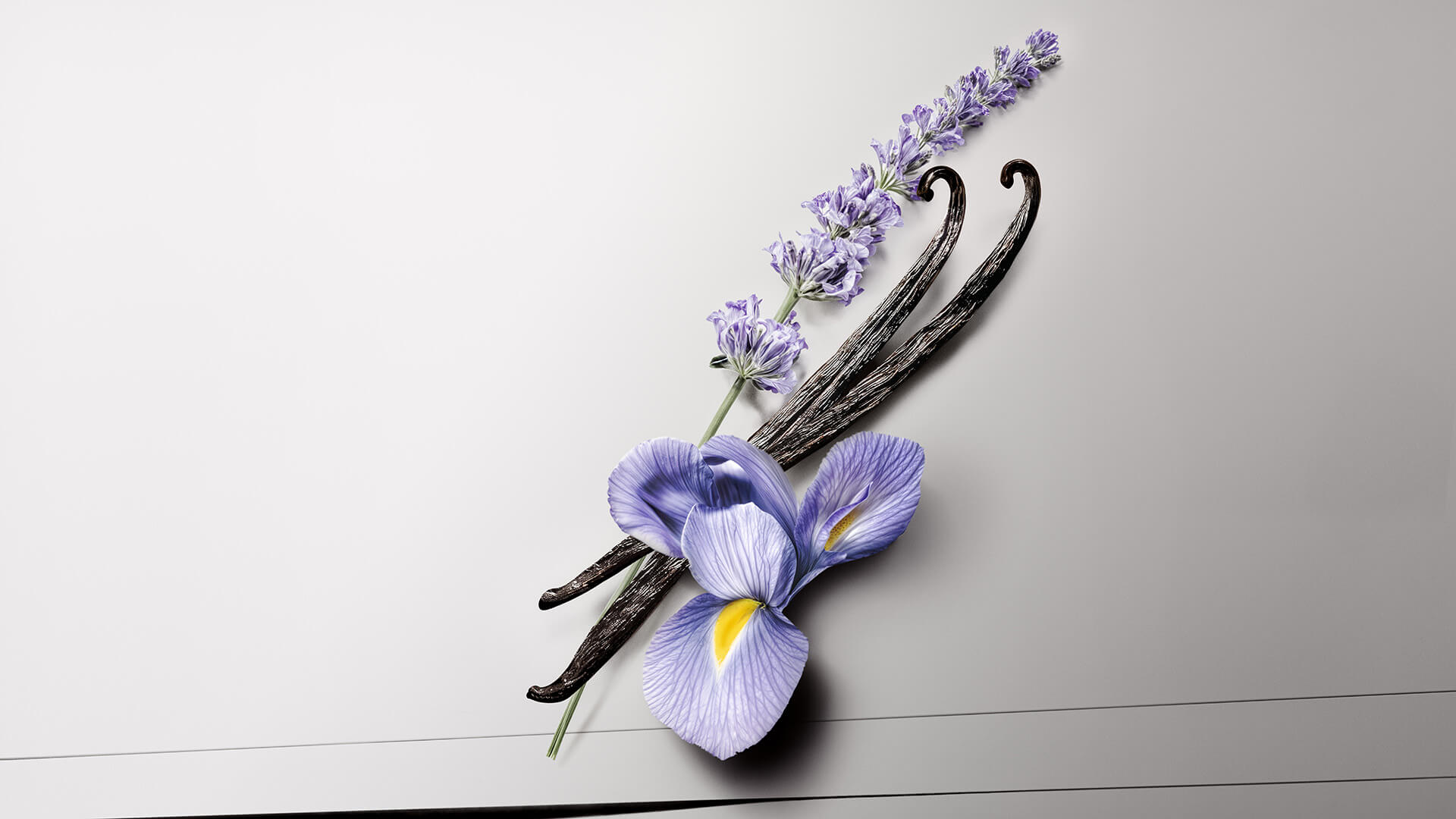 Montblanc Legend Elixir
