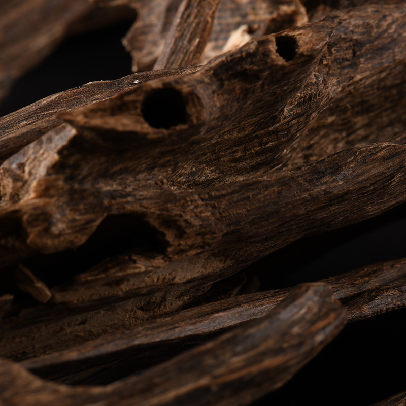 Sans-titre-4 Accord Oud