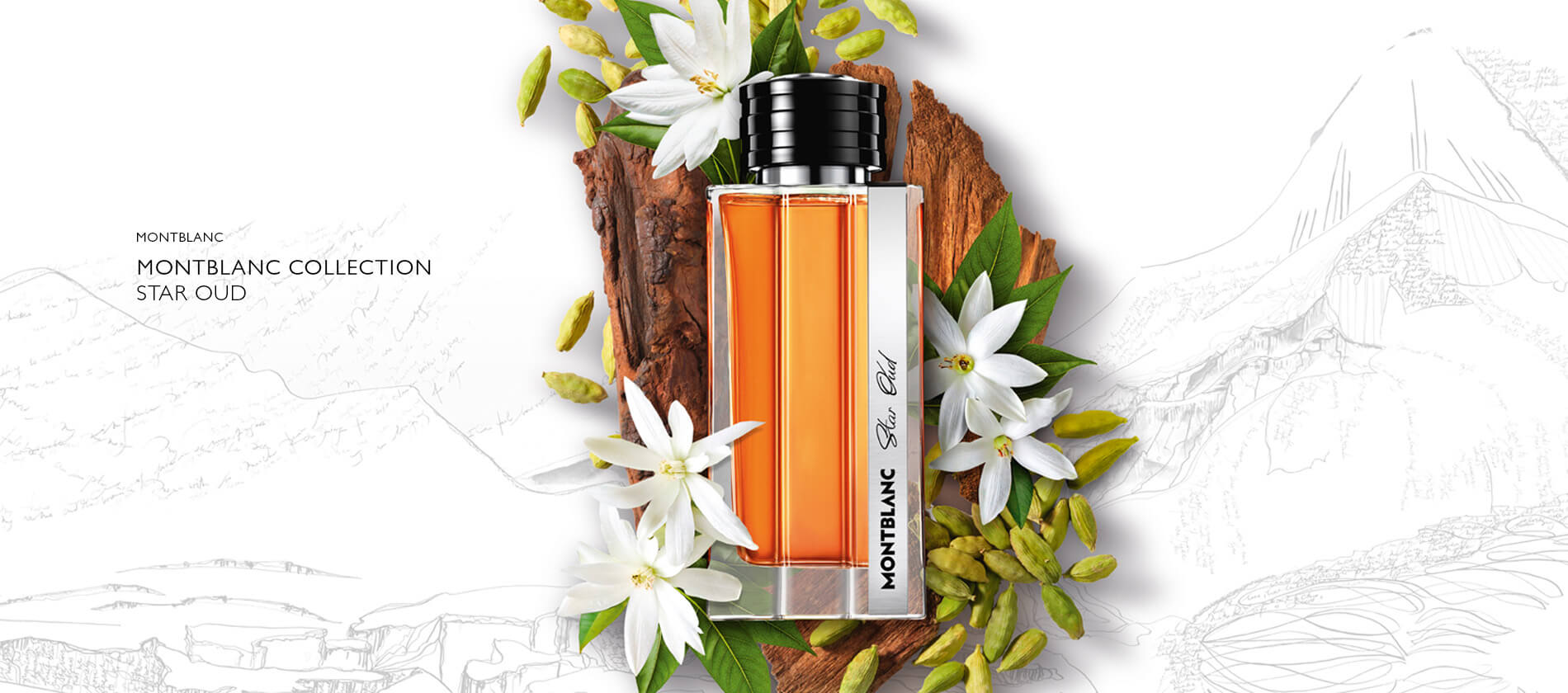 Montblanc Star Oud