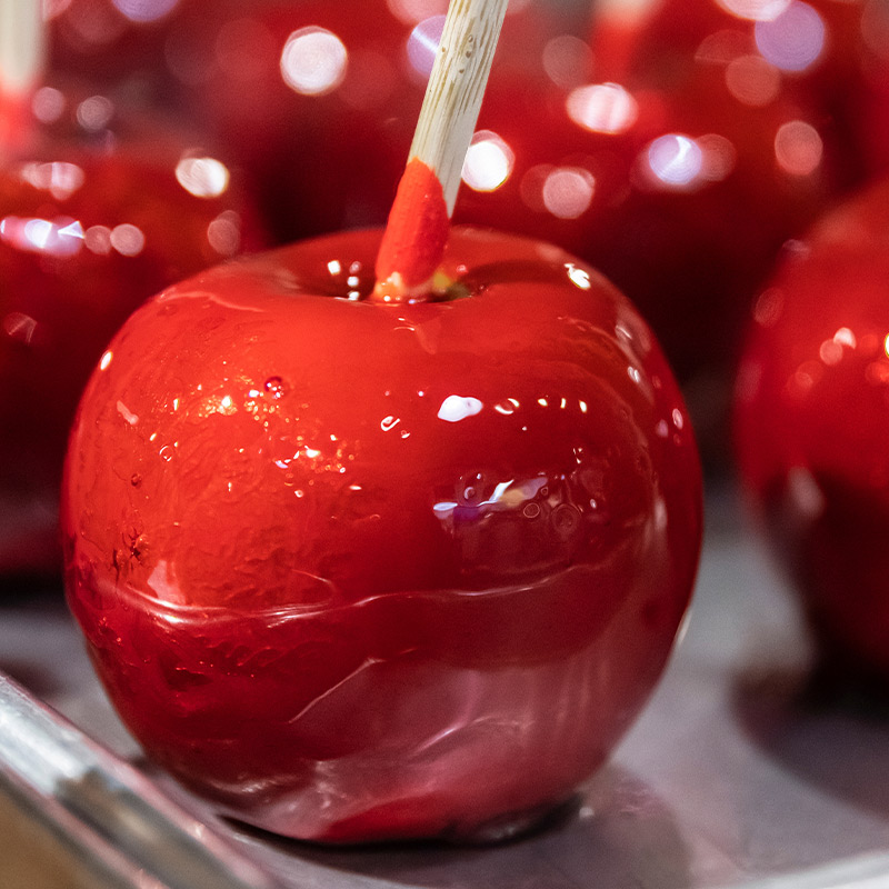 Sans-titre-6 Pomme d'amour