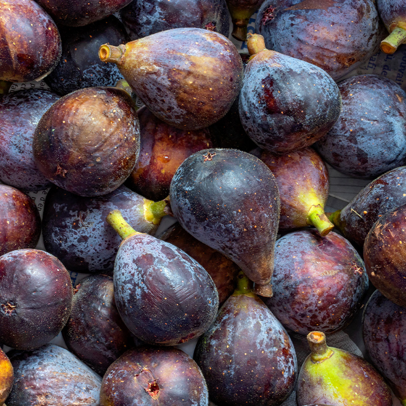 Sans-titre-6 Figues